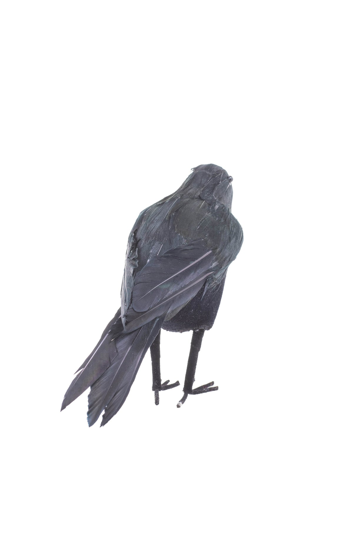 8" Black Plastic Crow Figurine