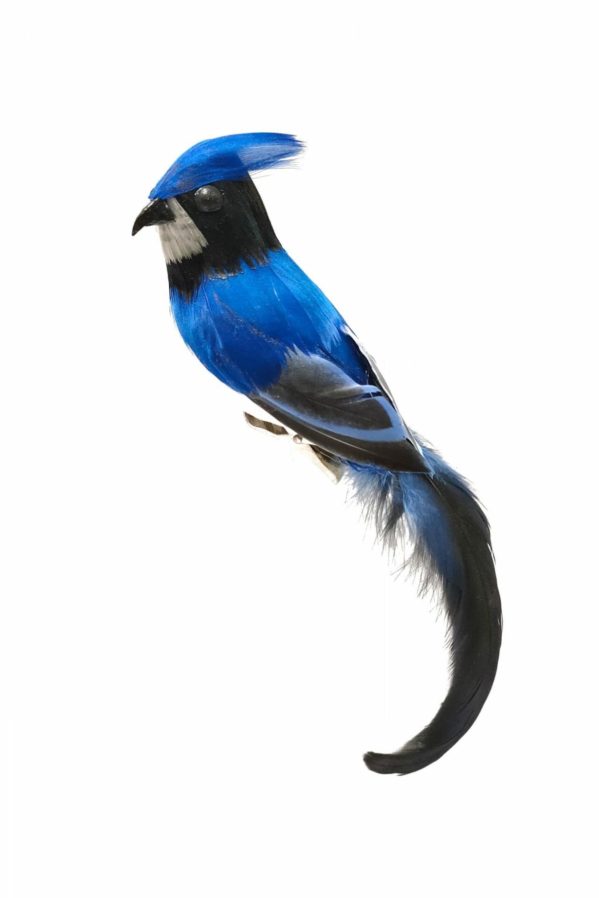 7" Hanging Blue and White Feathered Bluejay Ornament