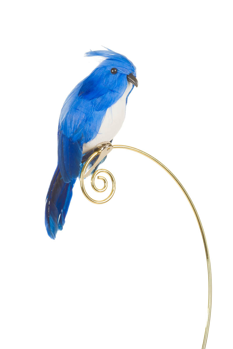 6.5" Clip-On Blue Feathered Jay Ornament