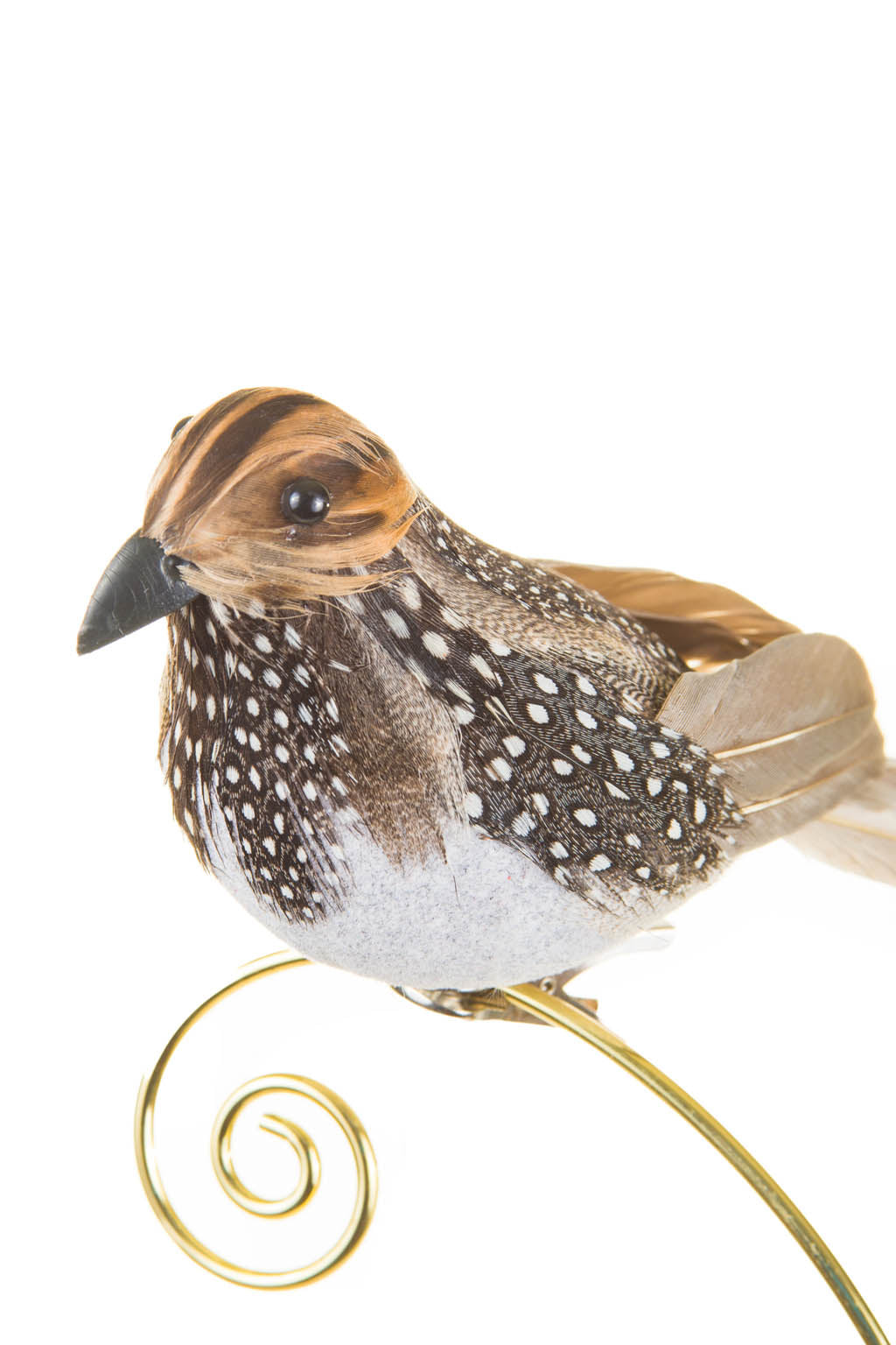 6.5" Clip-On Dotted Brown Foam Bird Ornament