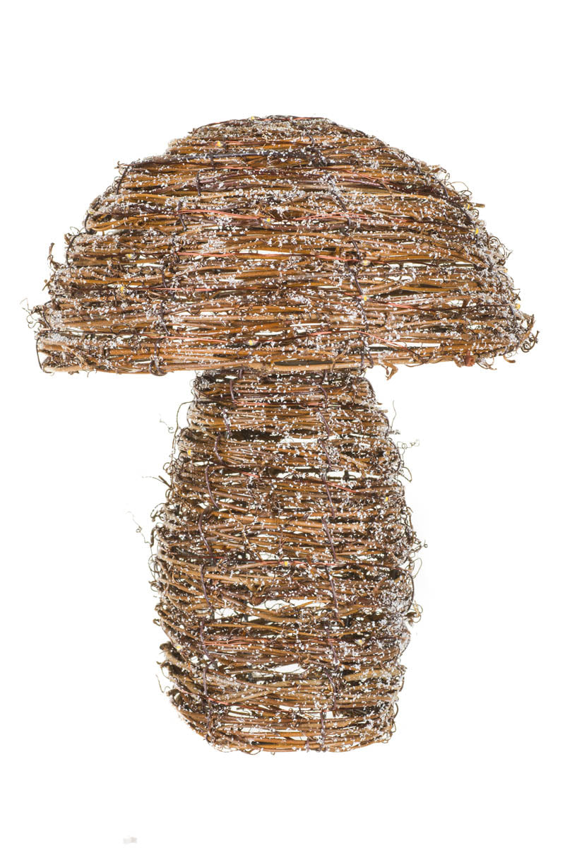 10.75" Brown Rattan Snowy Mushroom Warm White LED Accent with Wireframe