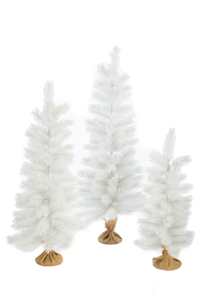 63" Set of 3 Frosted White Plastic Scotch Pine Trees with Plastic Bases