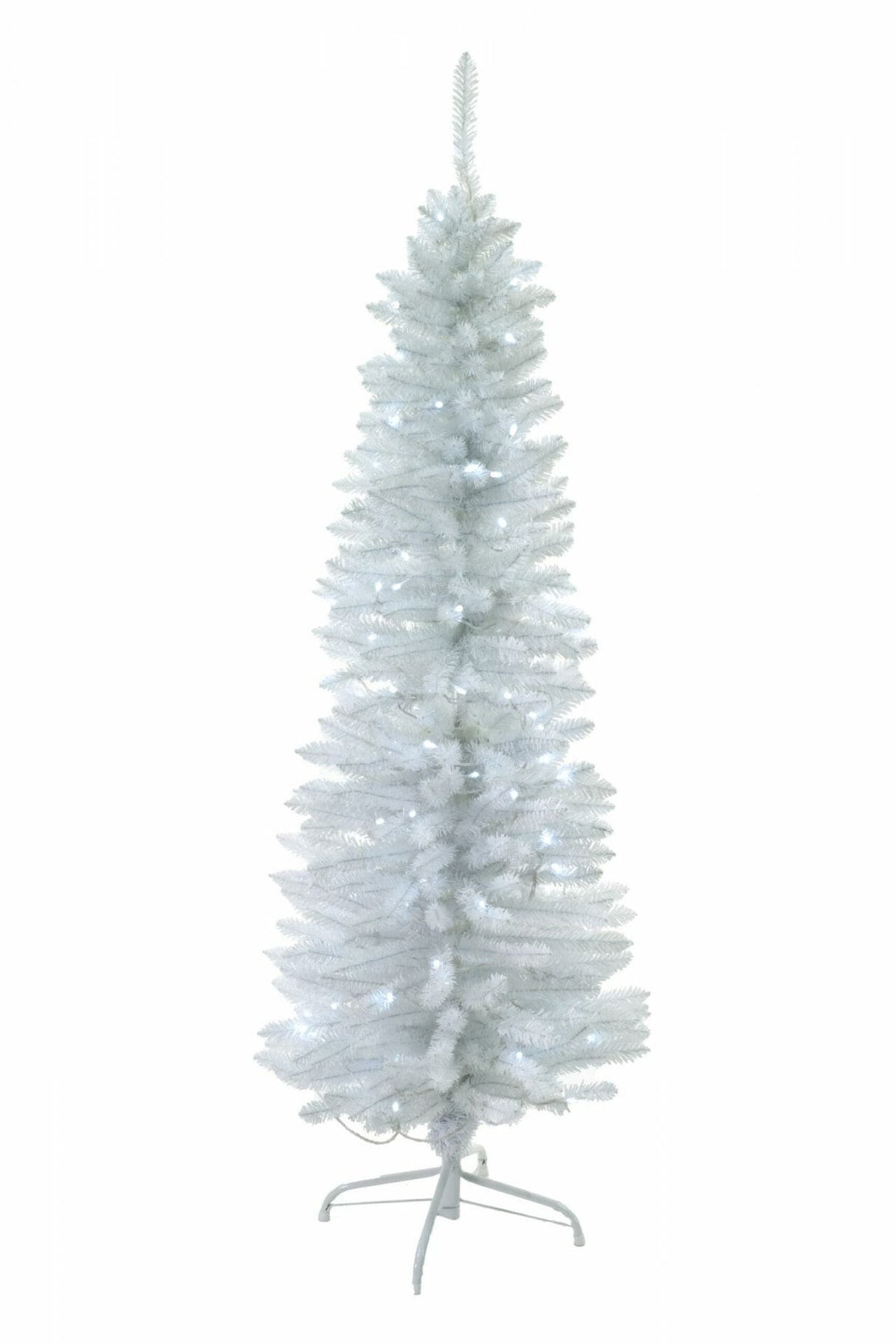 White Spruce Needle Pencil Tree