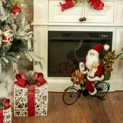 Father Christmas Collection