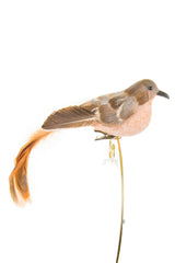 7.5" Clip-On Brown Foam Bird Ornament with Feathery Tail