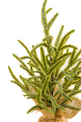 15" Green Pvc Petite Christmas Tree