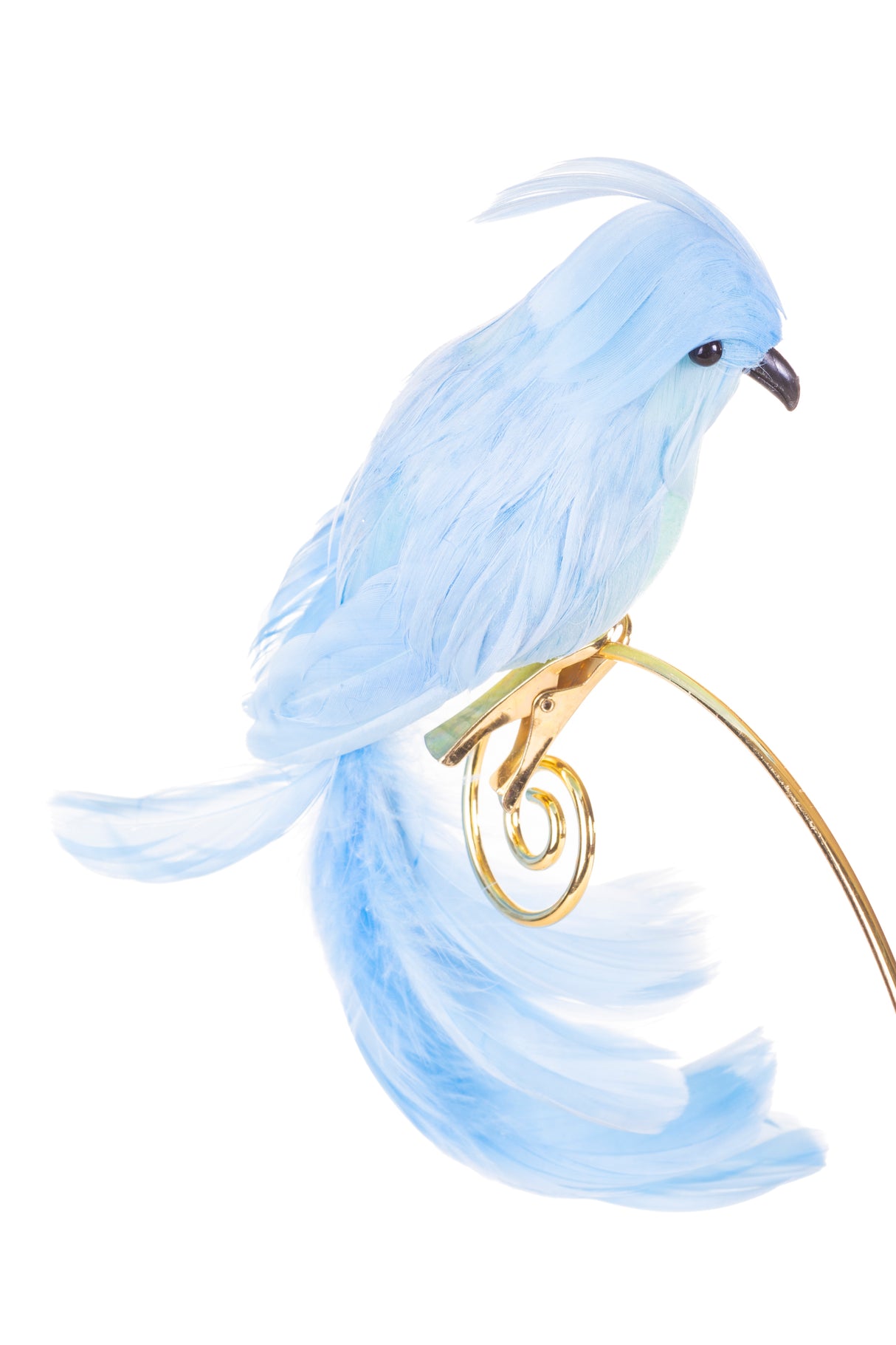 8" Clip-On Baby Blue Feathered Cockatiel Ornament