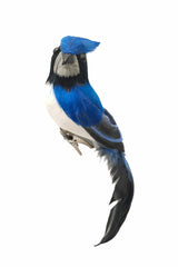 7" Hanging Blue and White Feathered Bluejay Ornament