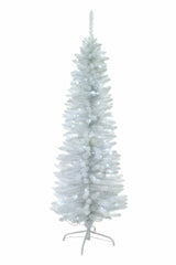 White Spruce Needle Pencil Tree
