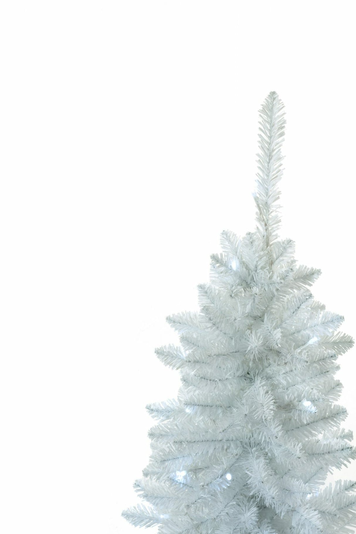 White Spruce Needle Pencil Tree