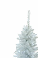 White Spruce Needle Pencil Tree
