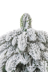 White Frosted Evergreen Table Top Tree