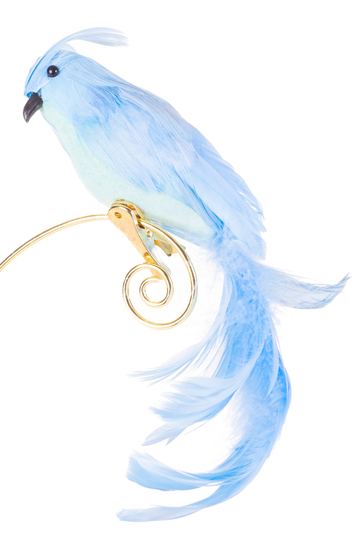 8" Clip-On Baby Blue Feathered Cockatiel Ornament