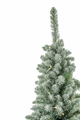 Green Fir Needle Pencil Tree