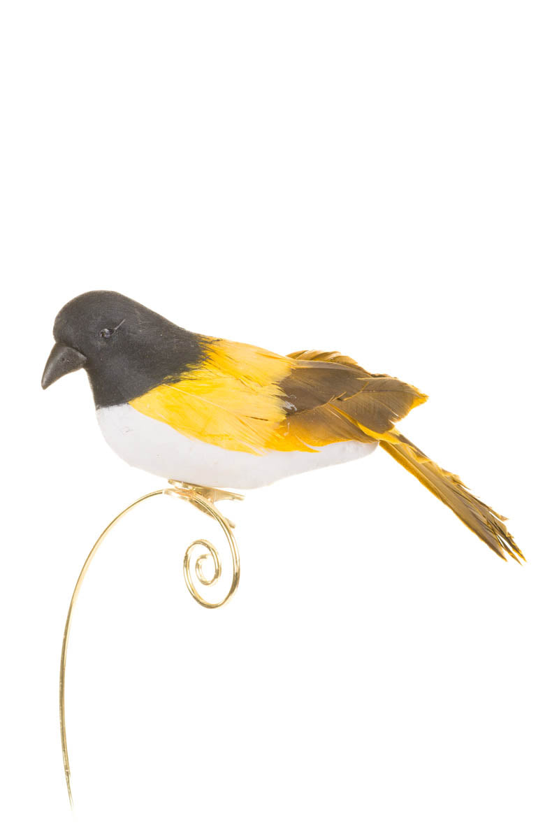 8" Yellow and Black Feathered Bird Clip Ornament