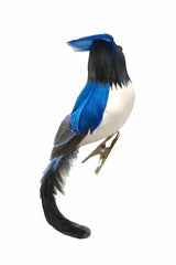 7" Hanging Blue and White Feathered Bluejay Ornament