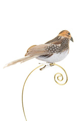 6.5" Clip-On Dotted Brown Foam Bird Ornament